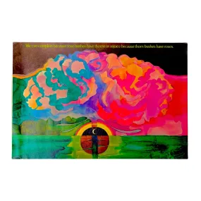 1970’S ARGUS PSYCHEDELIC ROSES PRINTED IN USA POSTER 1970’S ARGUS PSYCHEDELIC ROSES PRINTED IN USA POSTER