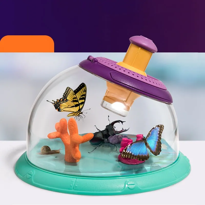 Creative small fish tank