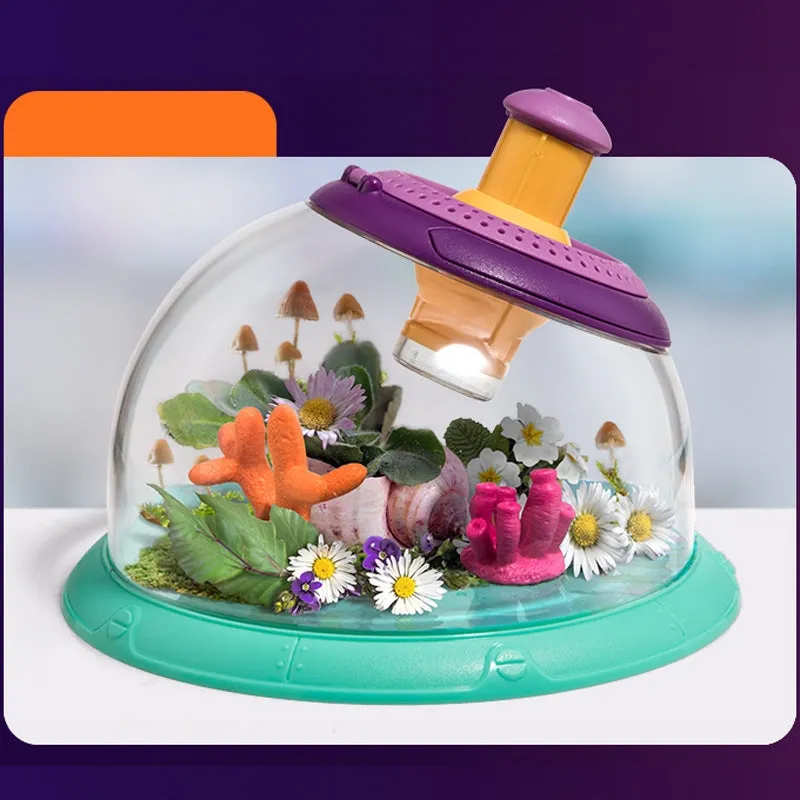 Creative small fish tank