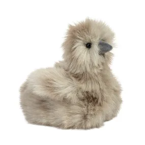 "Zara" Gray Silkie Chick