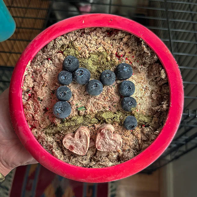 Ruff Supplements for Dogs