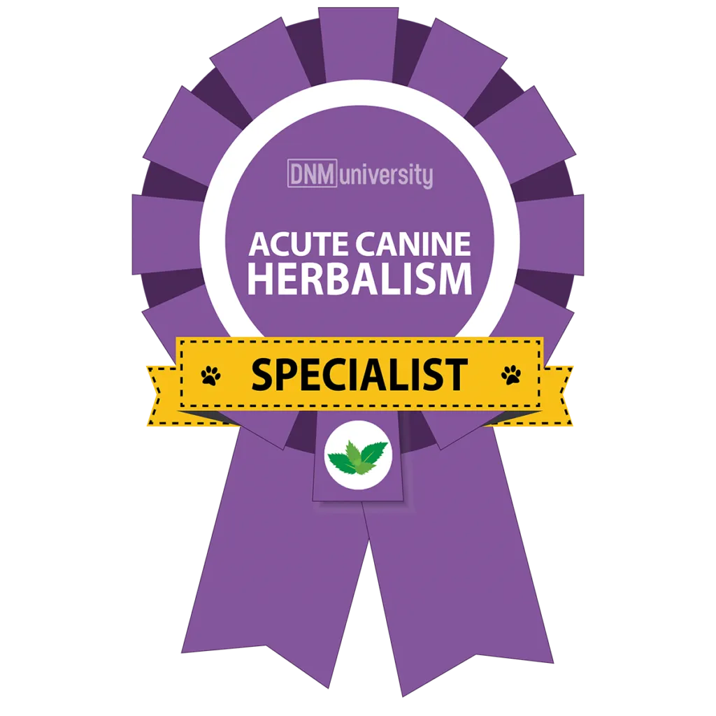 Ruff Supplements for Dogs