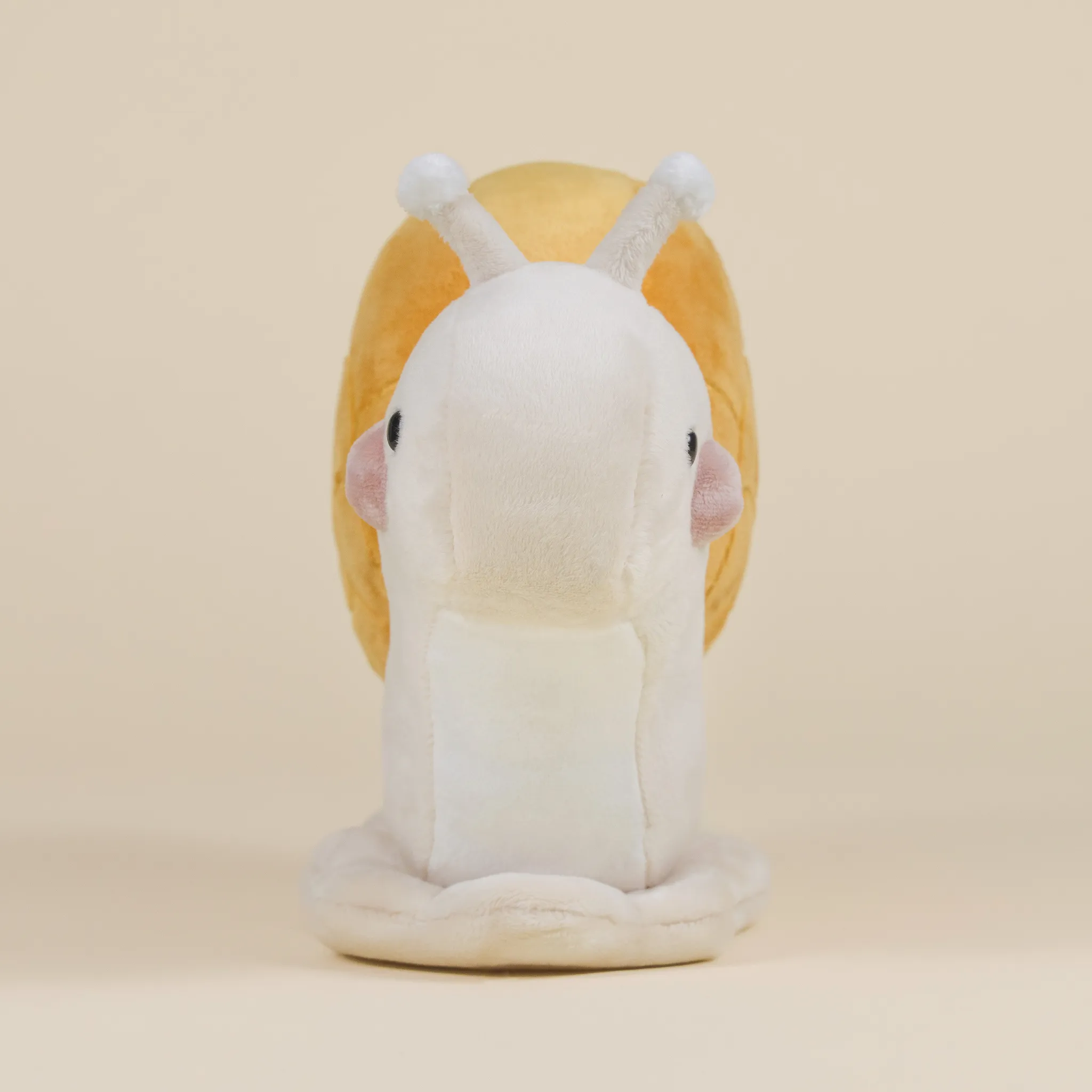 Snaili the Snail