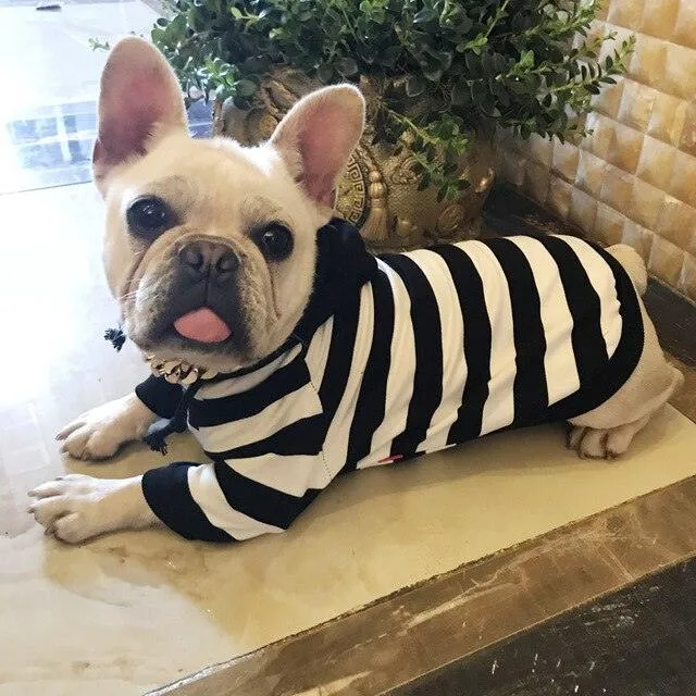 Striped Dog Coat Hoodie  100% Cotton