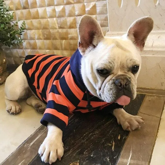Striped Dog Coat Hoodie  100% Cotton